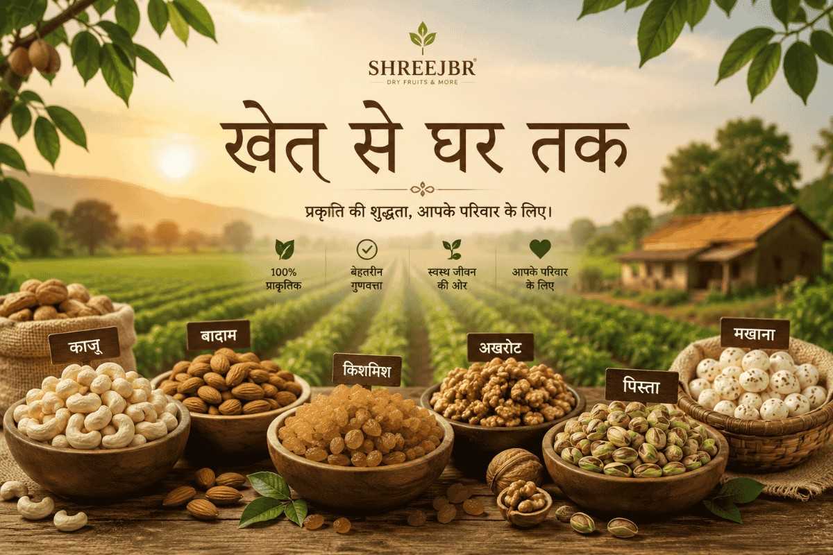 About shreejbr image
